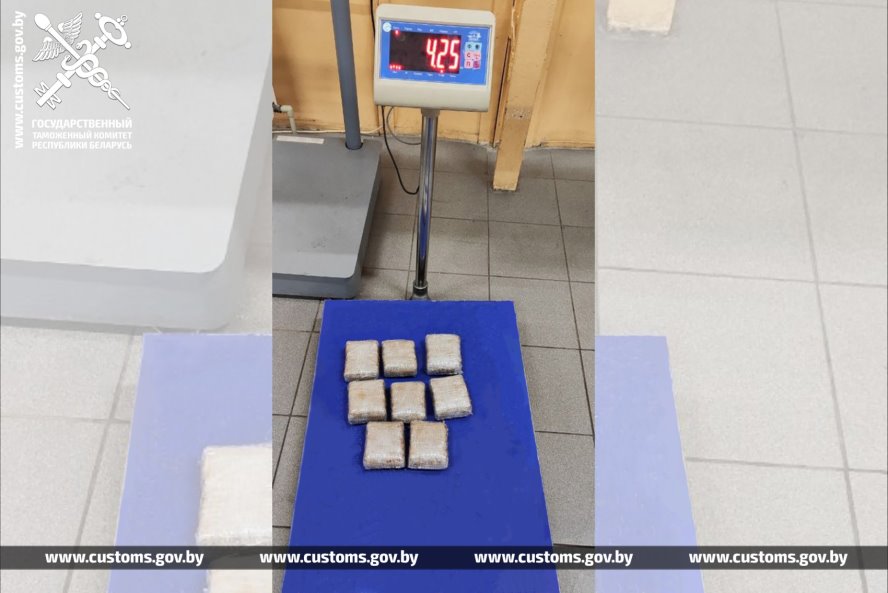 Гражданин России спрятал 4,2 кг гашиша в оборудованном за обшивкой сиденья автомобиля тайнике. Случай на границе в Бресте