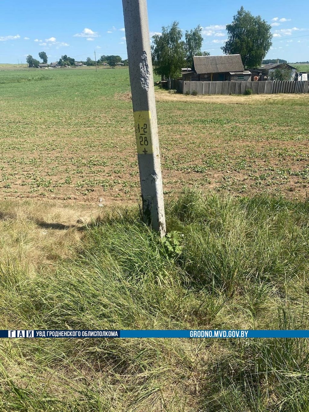 Жительница Брестской области на «Форде» столкнулась с опорой линии электропередачи