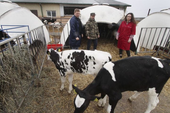 В Брестской области 30 животноводов поощрят путевками в санатории