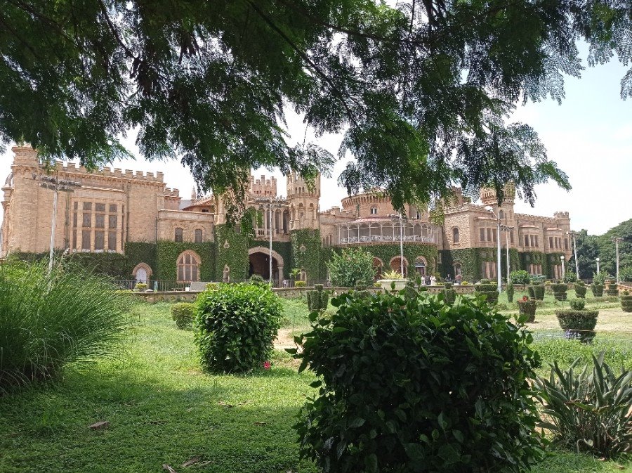 Белорус бесплатно съездил в Индию и прошел там обучение – такое реально?