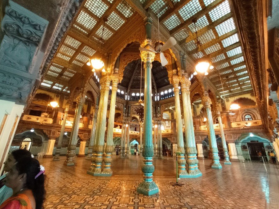 Белорус бесплатно съездил в Индию и прошел там обучение – такое реально?