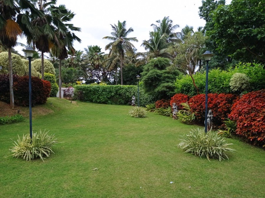 Белорус бесплатно съездил в Индию и прошел там обучение – такое реально?