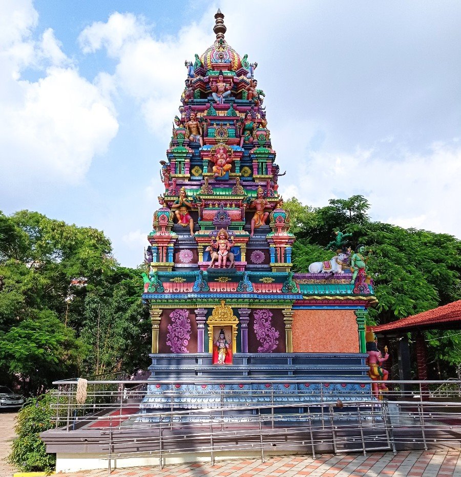 Белорус бесплатно съездил в Индию и прошел там обучение – такое реально?