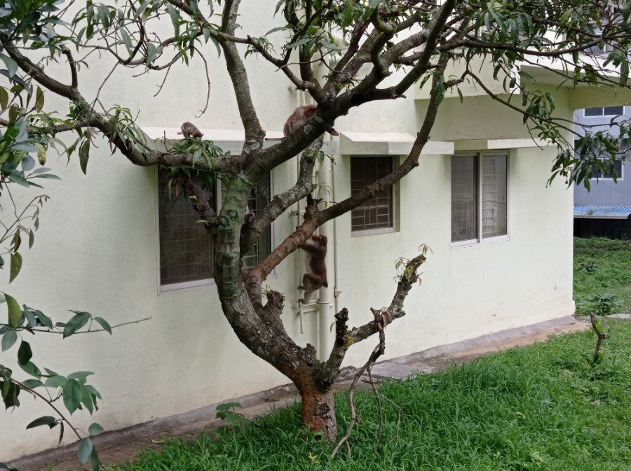 Белорус бесплатно съездил в Индию и прошел там обучение – такое реально?