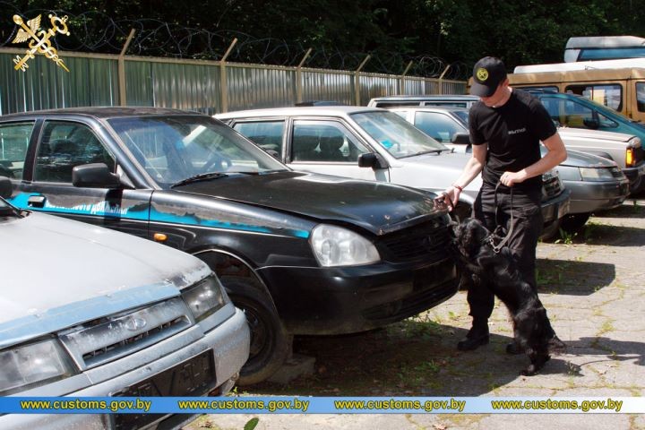 Представители Брестской таможни стали победителями XI лично-командных соревнований по служебному многоборью кинологов