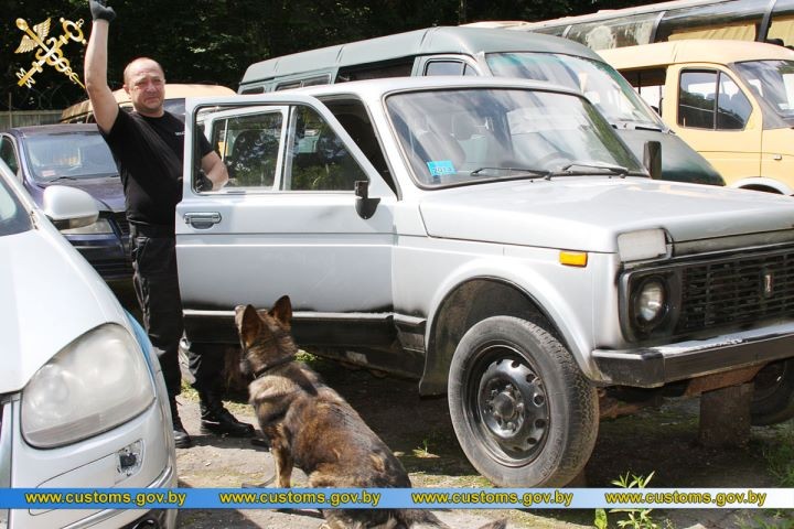 Представители Брестской таможни стали победителями XI лично-командных соревнований по служебному многоборью кинологов
