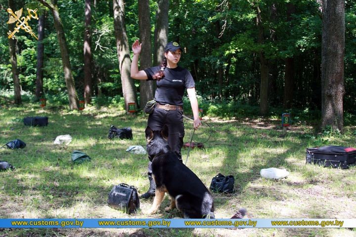 Представители Брестской таможни стали победителями XI лично-командных соревнований по служебному многоборью кинологов