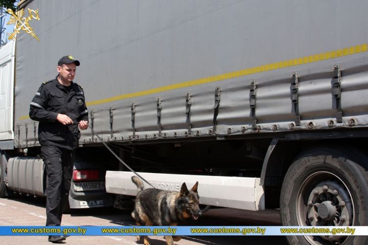 Представители Брестской таможни стали победителями XI лично-командных соревнований по служебному многоборью кинологов