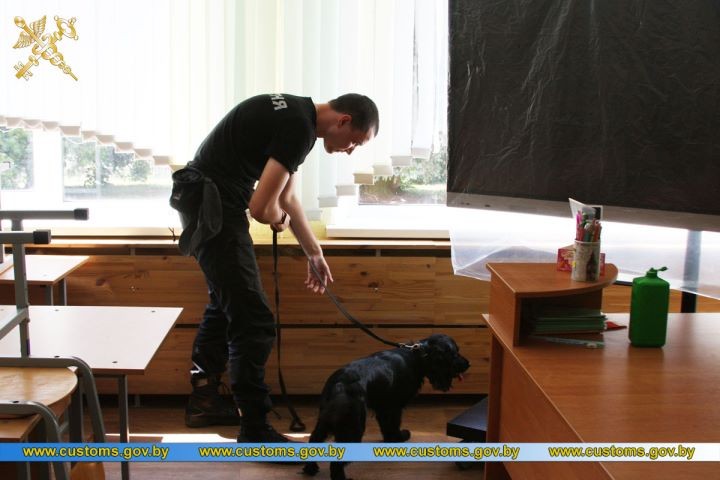 Представители Брестской таможни стали победителями XI лично-командных соревнований по служебному многоборью кинологов
