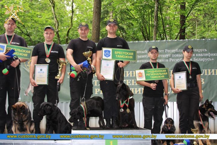 Представители Брестской таможни стали победителями XI лично-командных соревнований по служебному многоборью кинологов