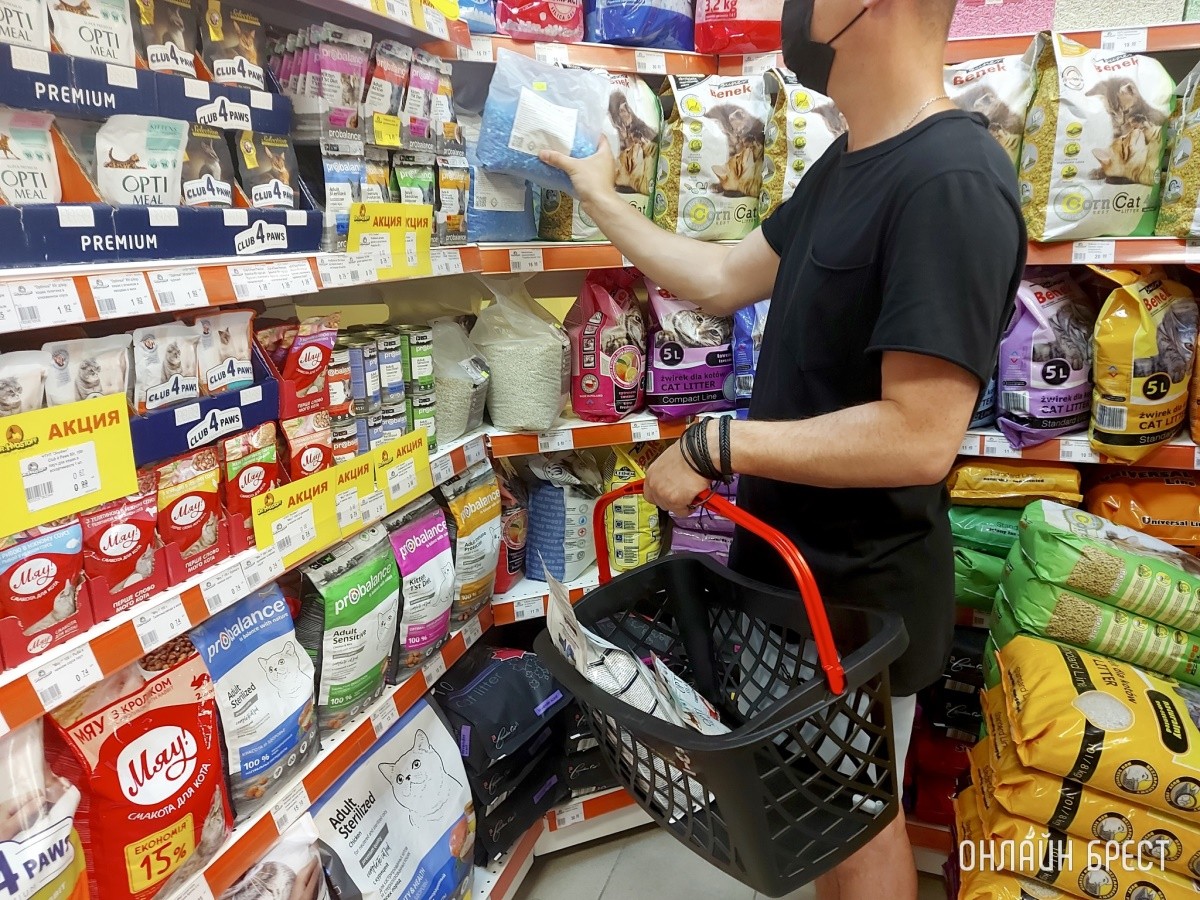 В Беларуси штормит рынок зоотоваров: чем будем кормить кошек и собак?
