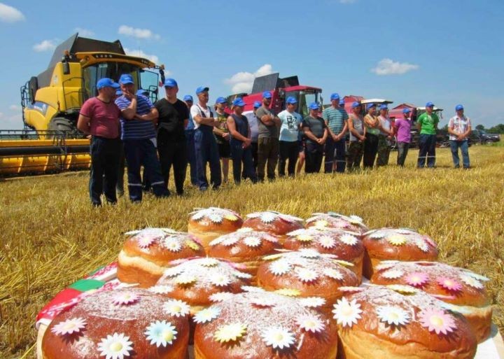 Брестская область. На поле вблизи деревни Белево прошли зажинки в «Савушкиной пуще