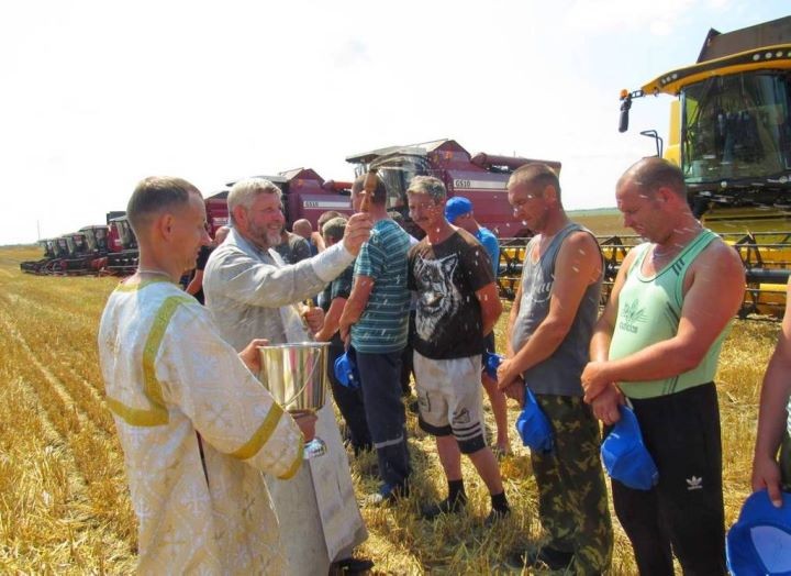 Брестская область. На поле вблизи деревни Белево прошли зажинки в «Савушкиной пуще