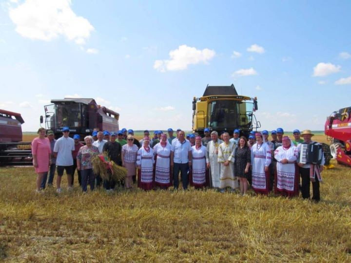 Брестская область. На поле вблизи деревни Белево прошли зажинки в «Савушкиной пуще