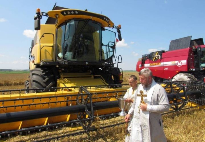 Брестская область. На поле вблизи деревни Белево прошли зажинки в «Савушкиной пуще