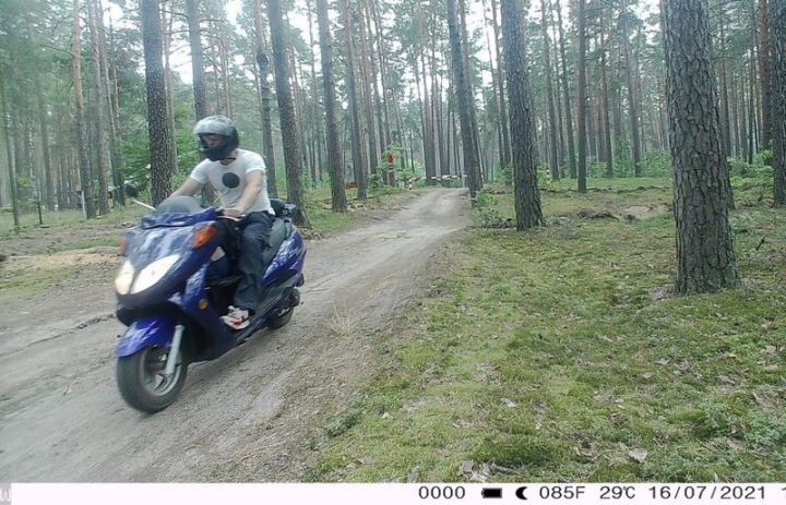 В Брестской области личности нарушителей, проехавших в лес на автомобиле и скутере, были установлены по записям фотоловушек.