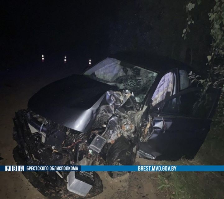 В Дрогичинском районе «Фольксваген» врезался в дерево