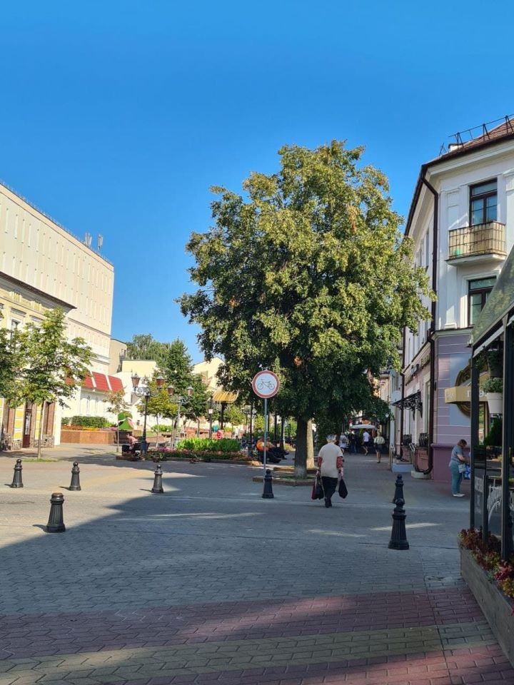 «За вело Брест» о запрете перемещения на велосипедах по Советской