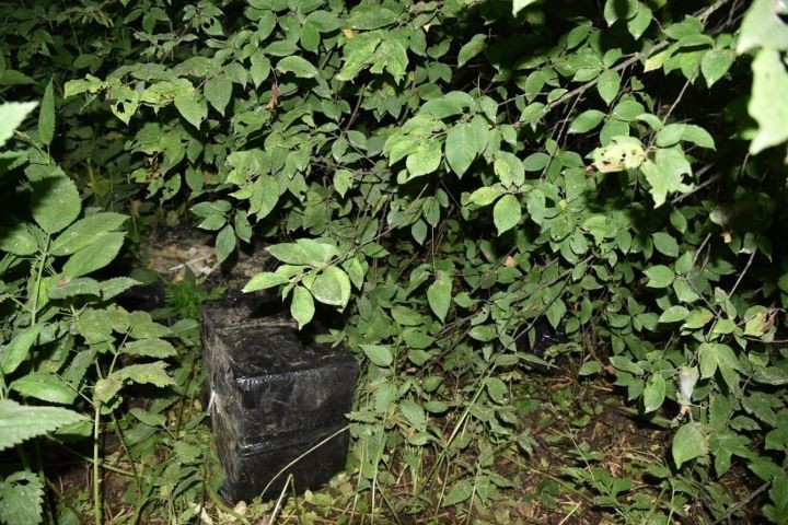 Двух беларусов задержали в Польше за контрабанду сигарет дроном