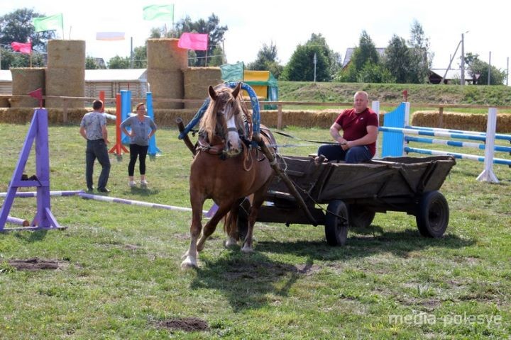 На Столинщине всё готово к проведению соревнований среди конных упряжек.