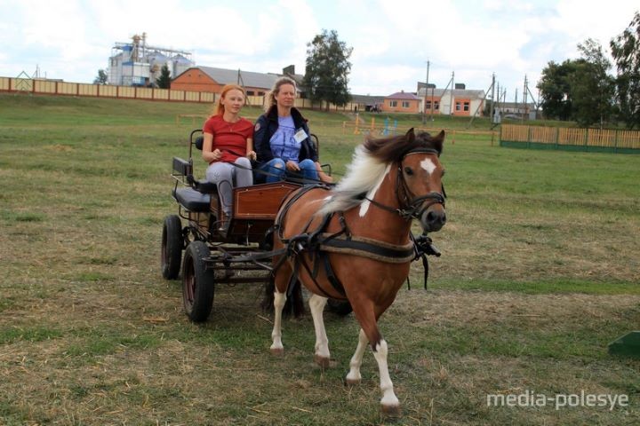 На Столинщине всё готово к проведению соревнований среди конных упряжек.
