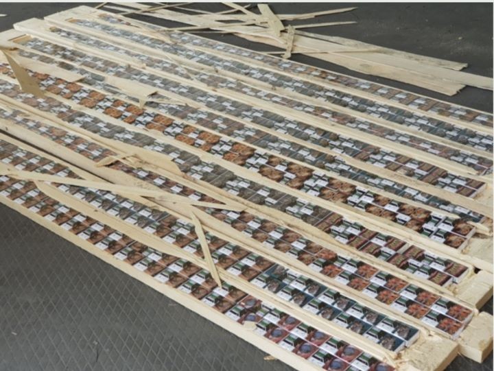 Российские таможенники остановили контрабанду белорусских сигарет в Грецию