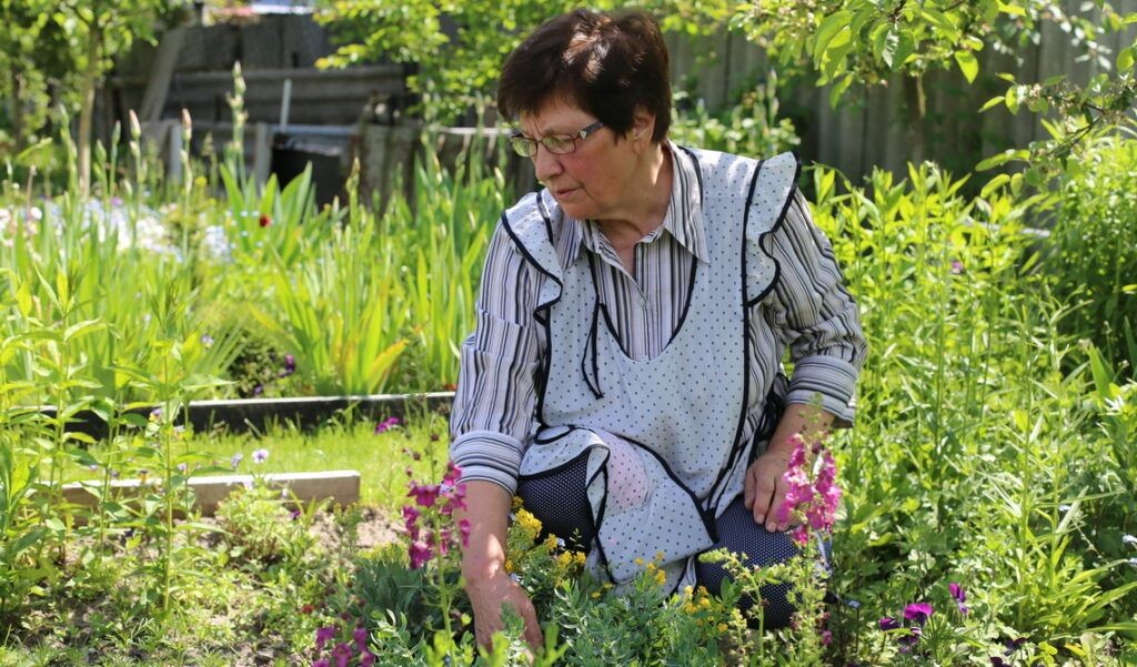 На огороде у каменчанки растет целая аптека