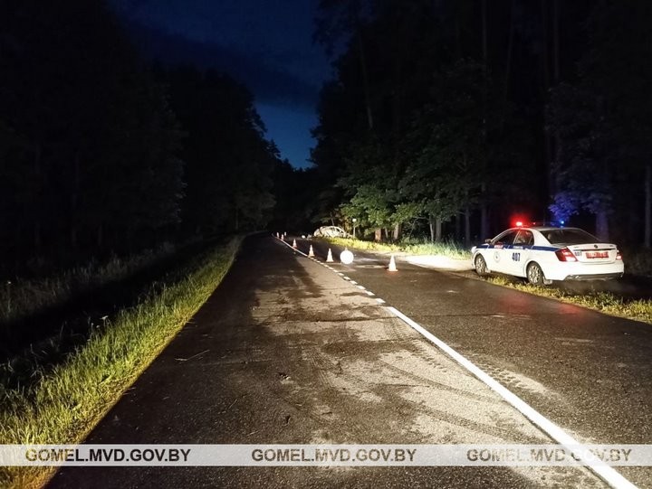 Жуткое ДТП под Гомелем: водитель не смог выбраться из огня