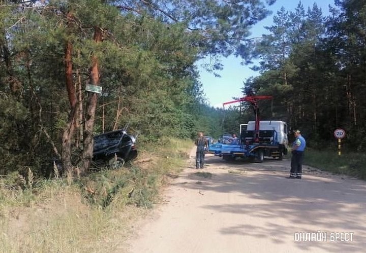 В Кобринском районе автоледи не справилась с управлением, легковушка повисла на дереве