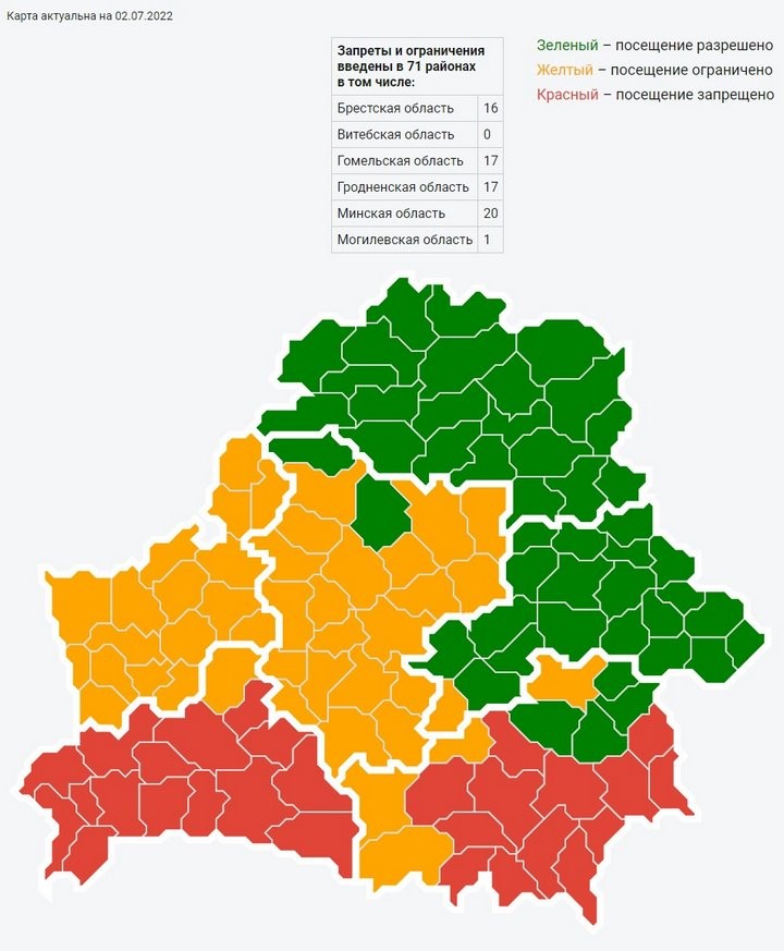 Под запретом — почти вся Брестская область. Где нельзя посещать леса?
