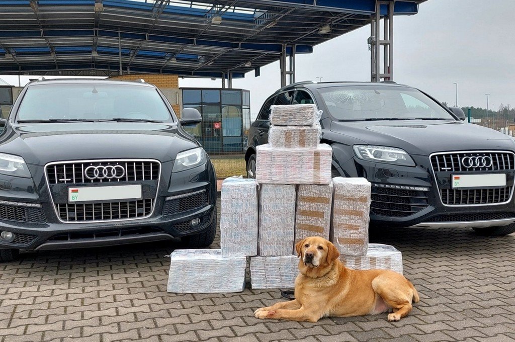 Белорусы могут лишиться двух дорогих AUDI Q7