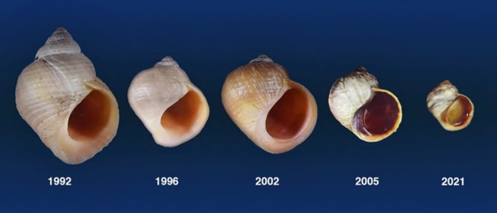 Эволюция в действии: 30-летний эксперимент раскрывает невероятные тайны