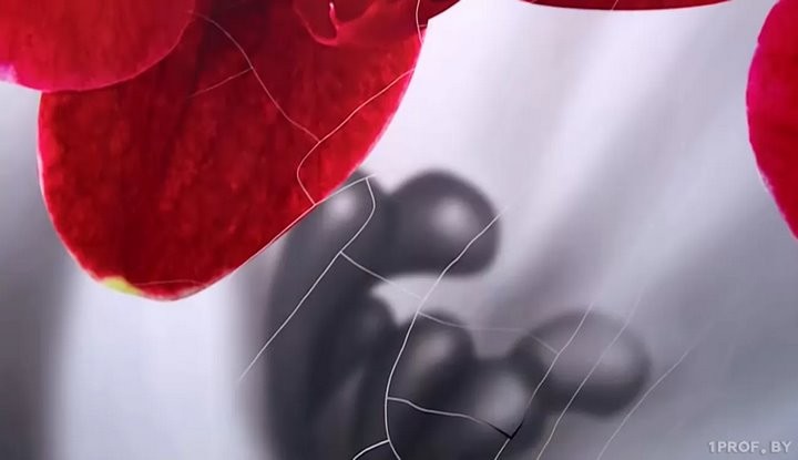 Адская кухня. Как покупка обернулась для семьи из Бреста массой проблем