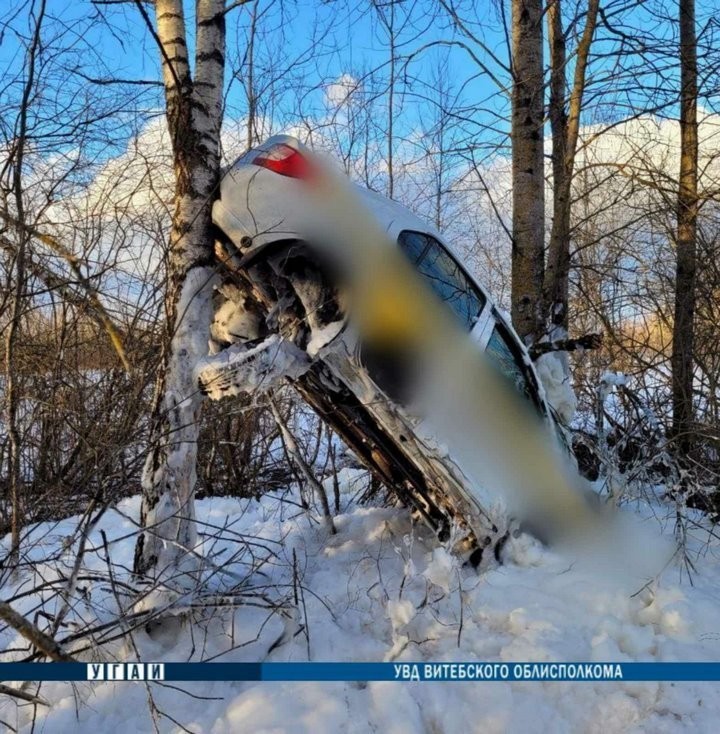 Таксист спешил на заказ, но автомобиль в результате ДТП оказался на дереве