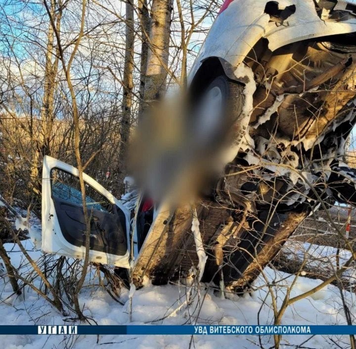 Таксист спешил на заказ, но автомобиль в результате ДТП оказался на дереве