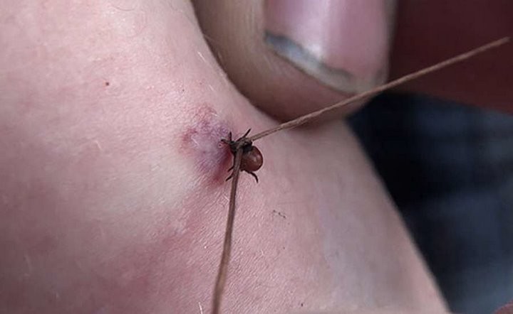 Фото из открытых источников (иллюстративное)