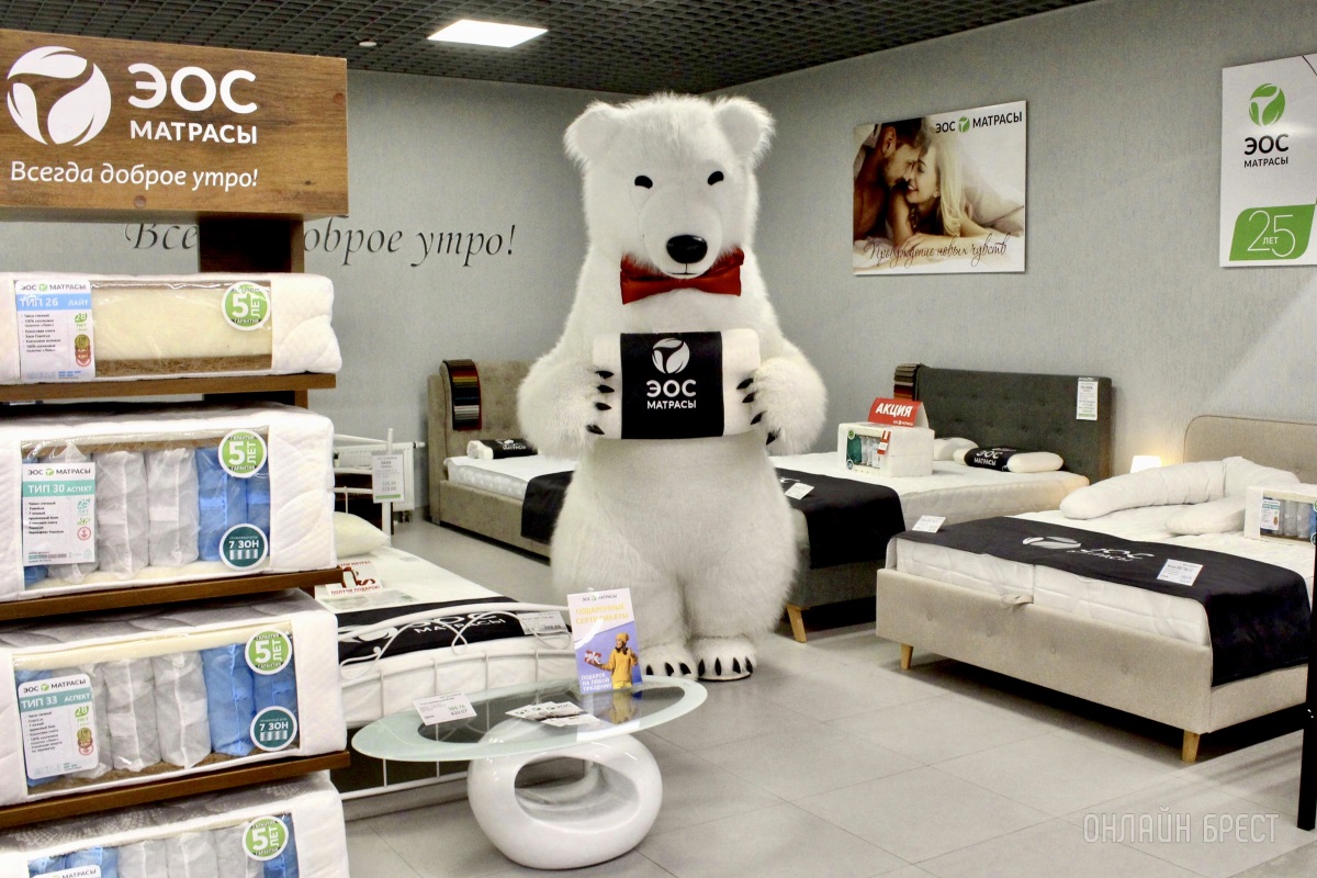 И большой белый медведь выбирает сон на матрасах «ЭОС» в Бресте!