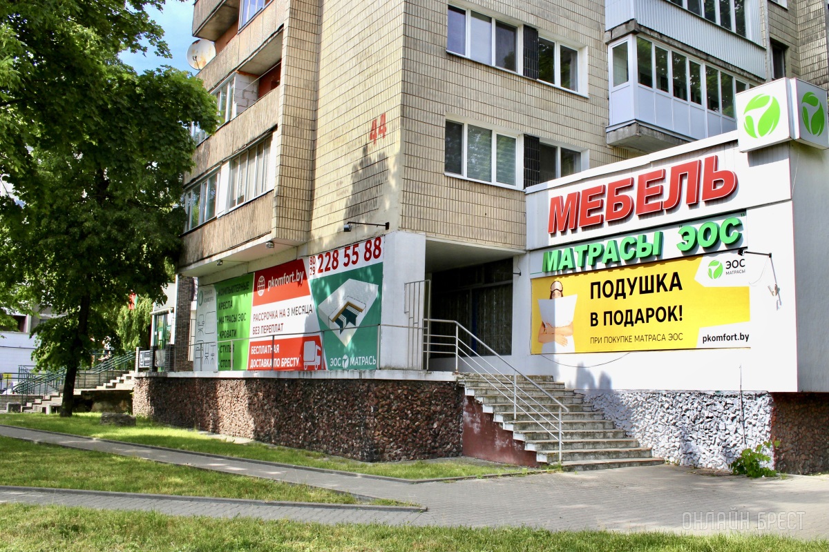 И большой белый медведь выбирает сон на матрасах «ЭОС» в Бресте!