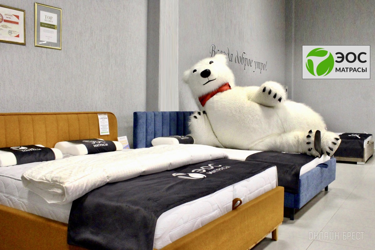 И большой белый медведь выбирает сон на матрасах «ЭОС» в Бресте!