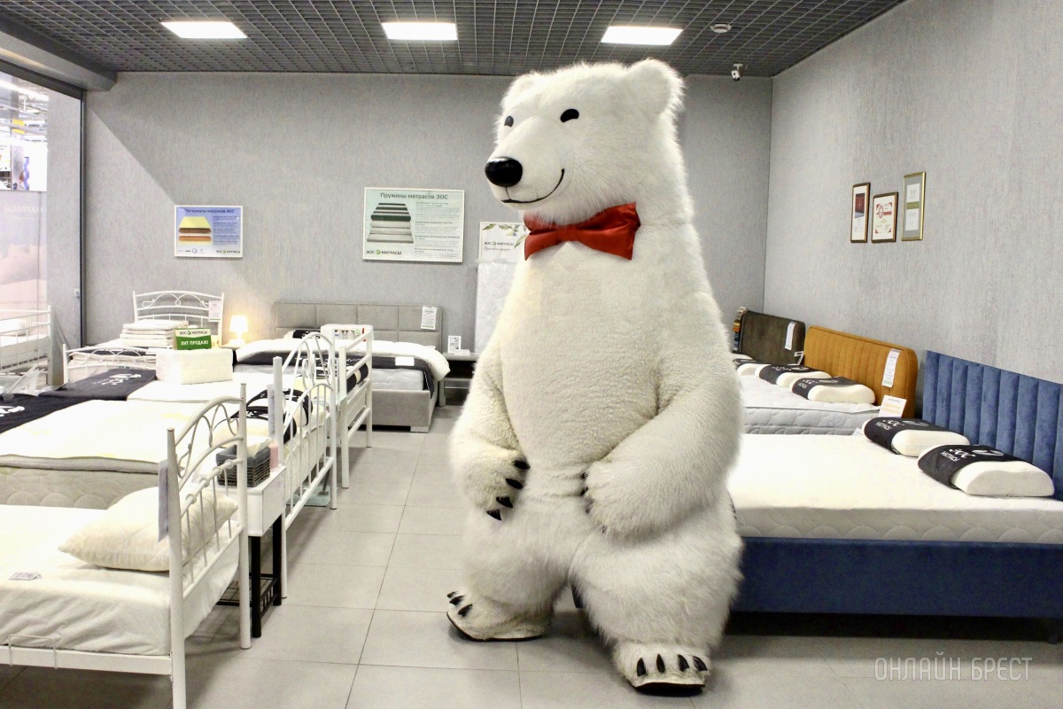 И большой белый медведь выбирает сон на матрасах «ЭОС» в Бресте!