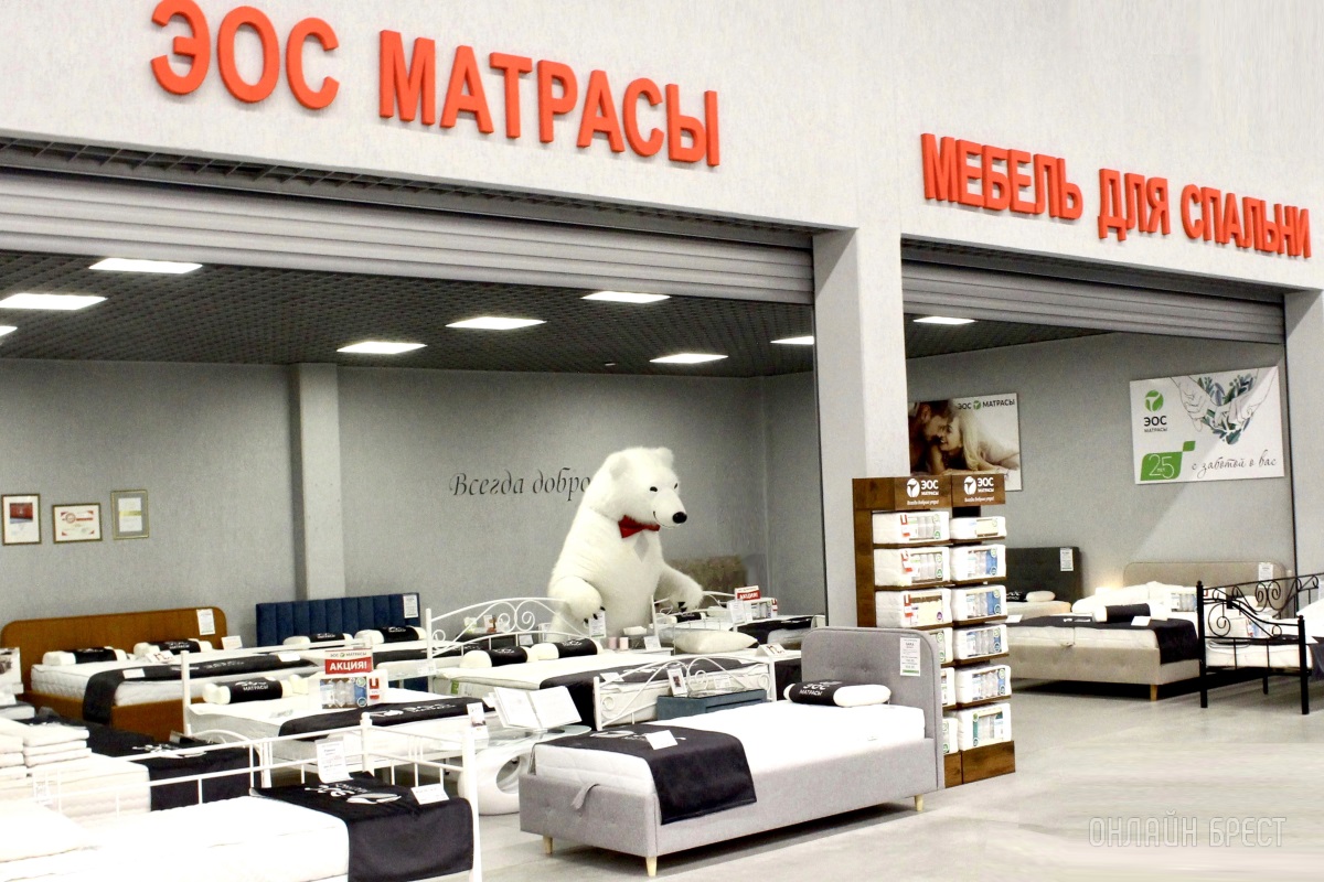 И большой белый медведь выбирает сон на матрасах «ЭОС» в Бресте!
