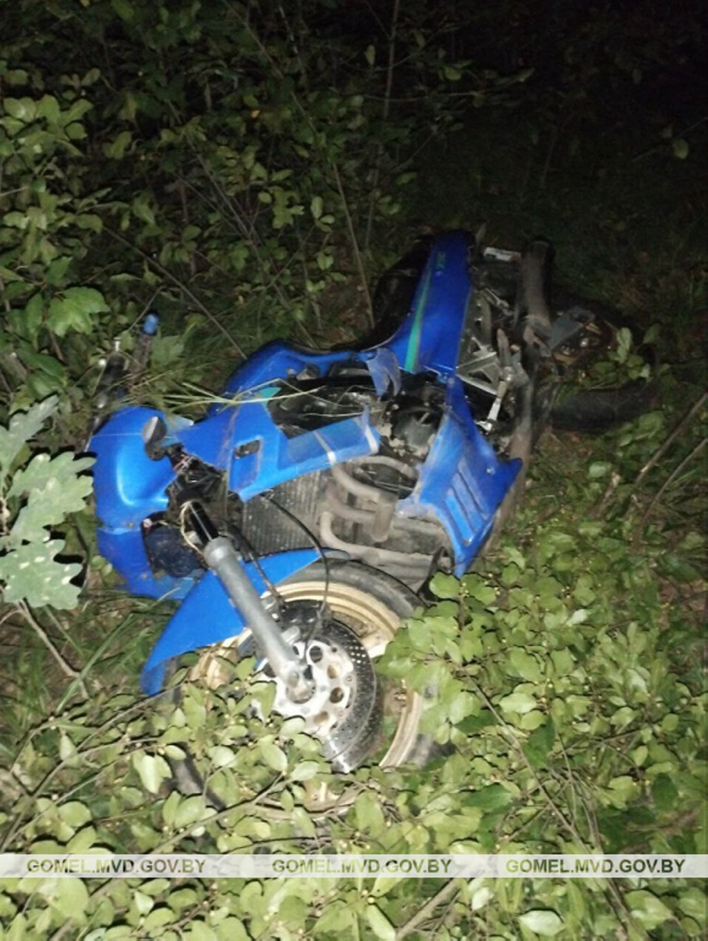 В Беларуси мотоциклист врезался в лося и погиб