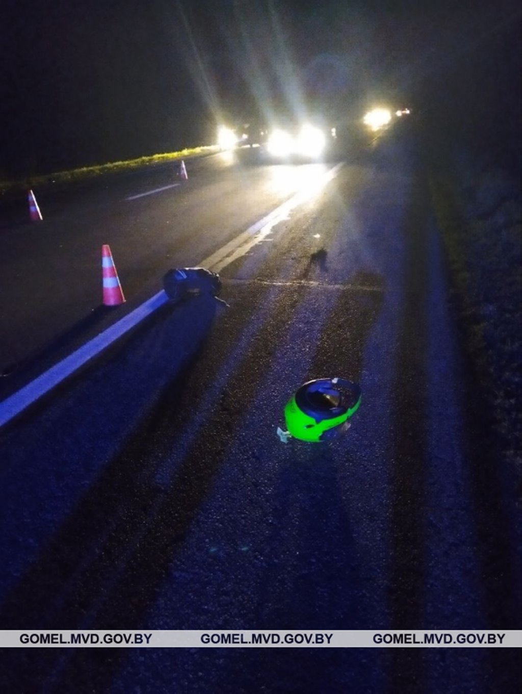 В Беларуси мотоциклист врезался в лося и погиб