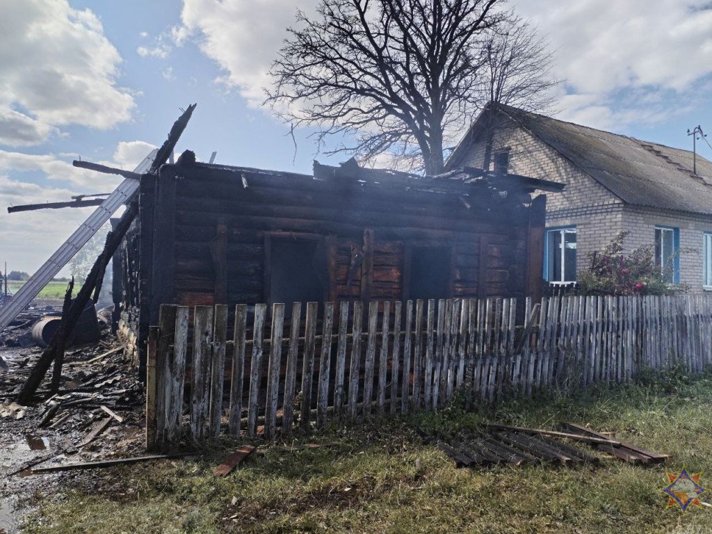 Внук решил запечь картошку по рецепту из интернета и сжег 5 построек во дворе у бабушки