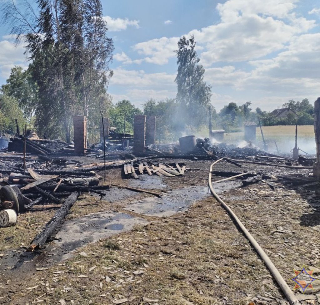 Внук решил запечь картошку по рецепту из интернета и сжег 5 построек во дворе у бабушки