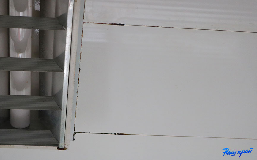 Во время ливня в квартире барановичанки случился потоп. Что происходит там сейчас?