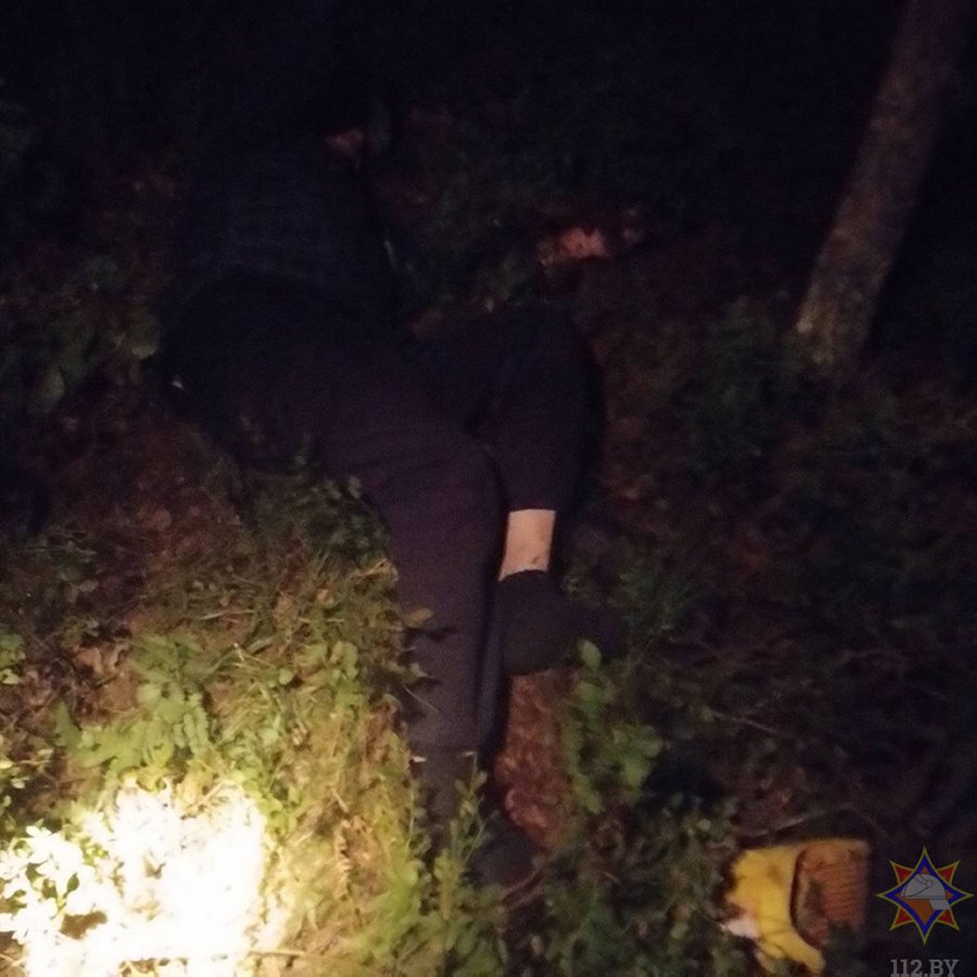В Кобринском районе спасатели нашли потерявшегося в лесу пенсионера