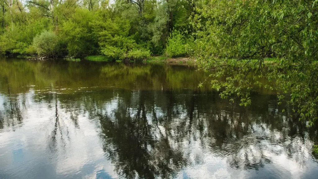 Кто следит за состоянием Мухавца?