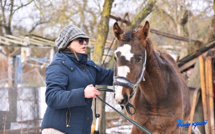 В Брестской области девушке подарили лошадь