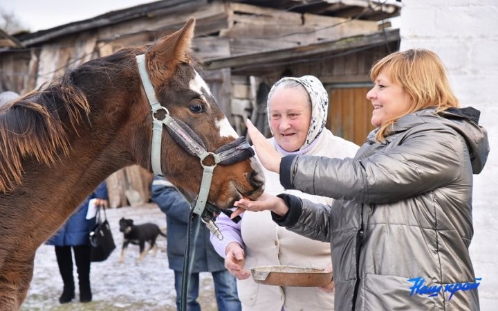 В Брестской области девушке подарили лошадь